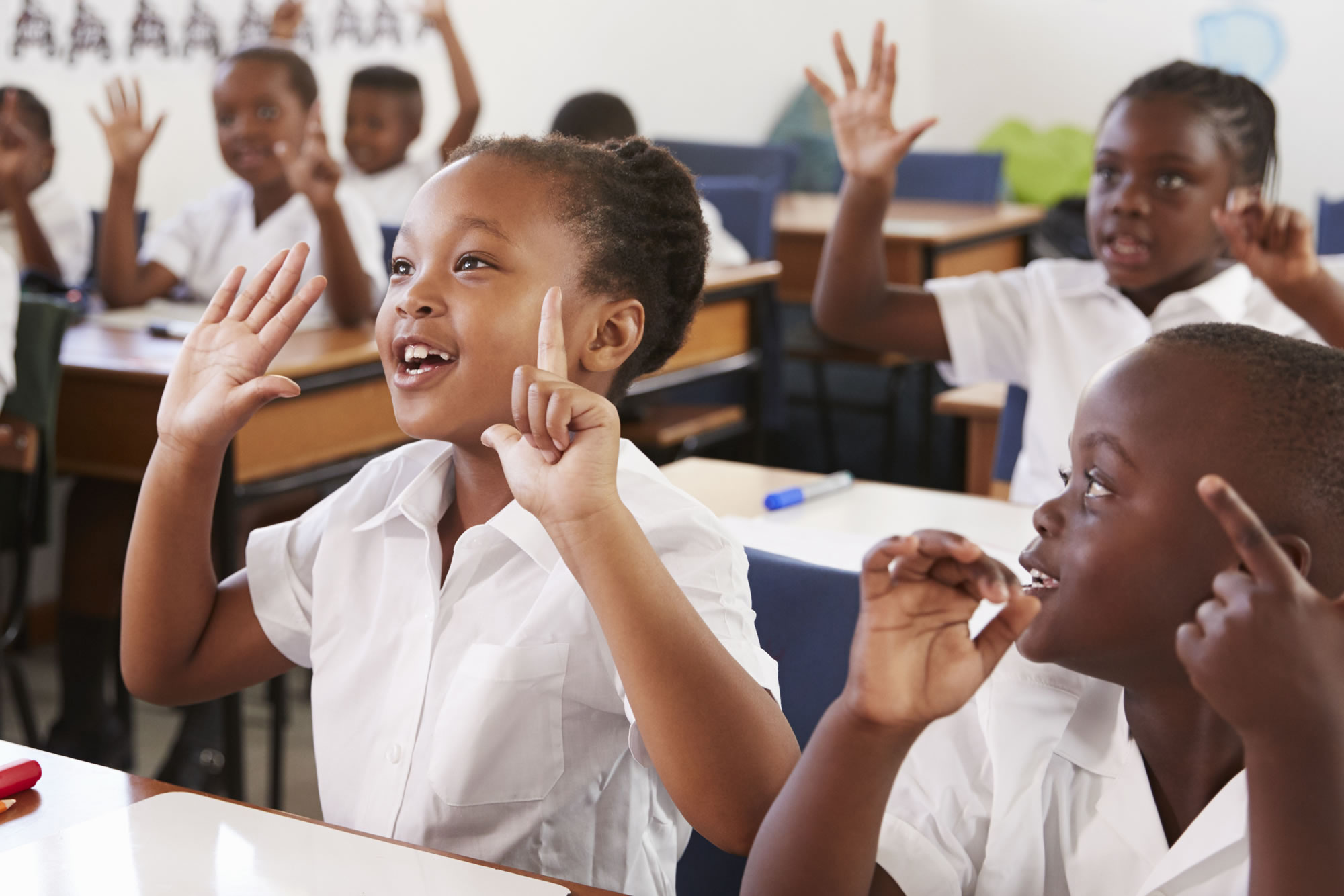 Learning Environment